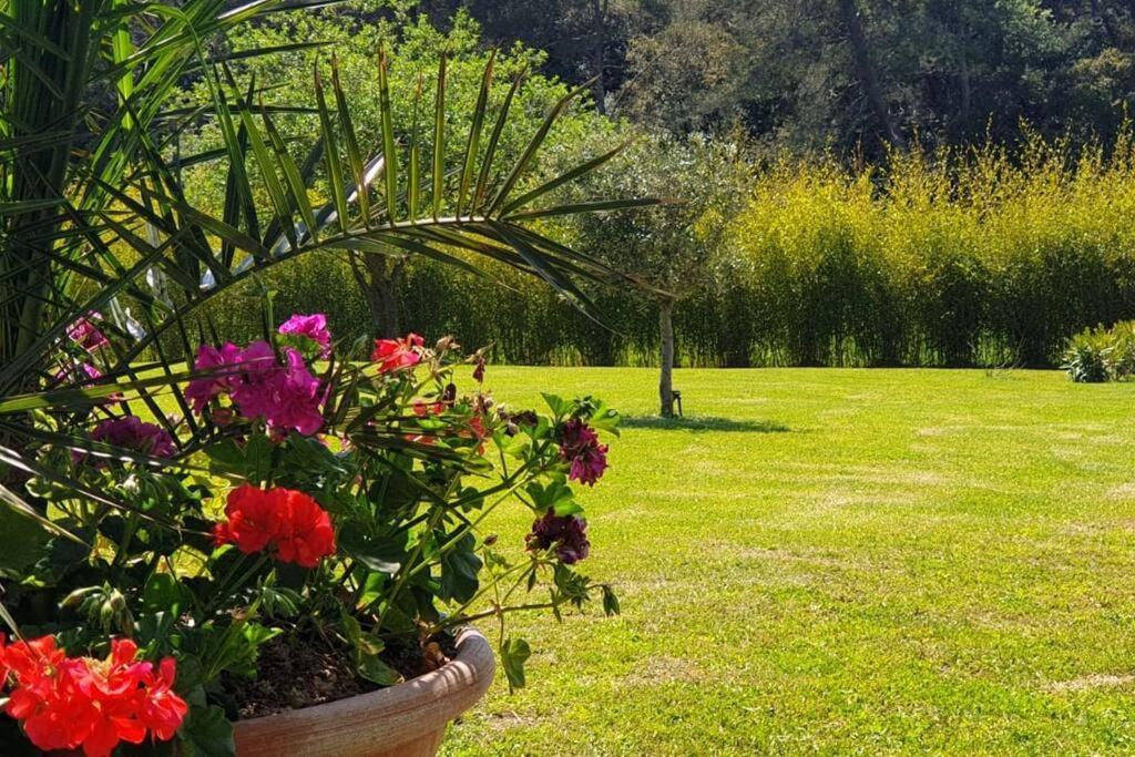 Les Prairies De Fenestrelle Spa & Piscine Au Calme Aubagne Εξωτερικό φωτογραφία