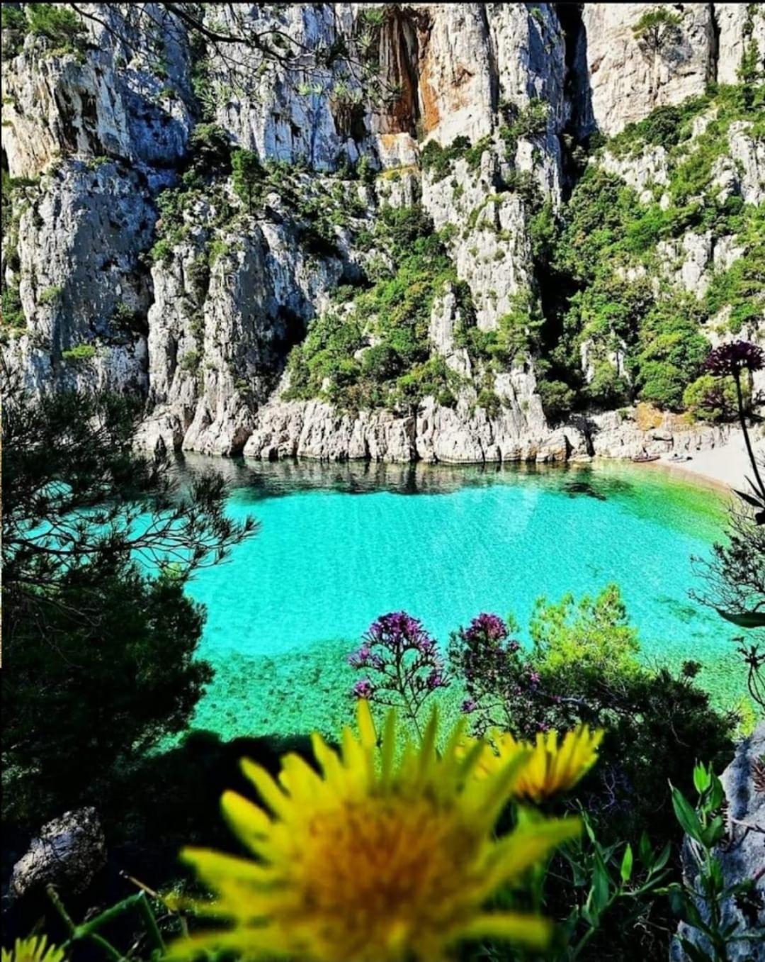 Les Prairies De Fenestrelle Spa & Piscine Au Calme Aubagne Εξωτερικό φωτογραφία